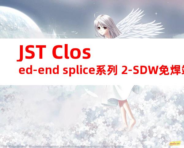 JST Closed-end splice系列 2-SDW免焊端子产品规格书
